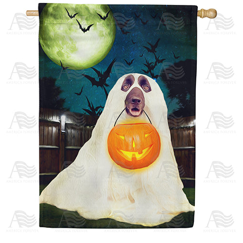America Forever No Tricks, Just Treats! House Flag