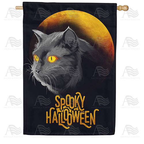 America Forever Are You Superstitious? House Flag