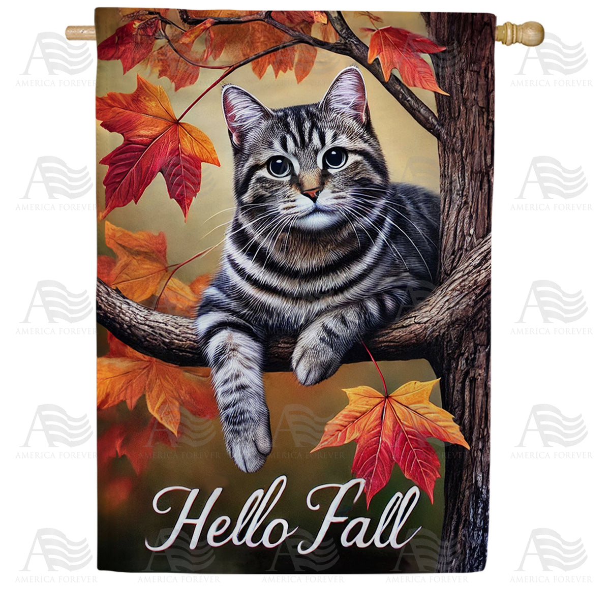 America Forever Hello Fall Tabby Cat House Flag