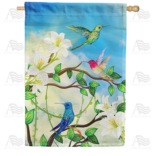 America Forever Hummingbird Trio House Flag