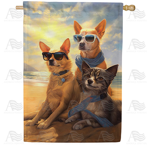 America Forever Beach Patrol House Flag