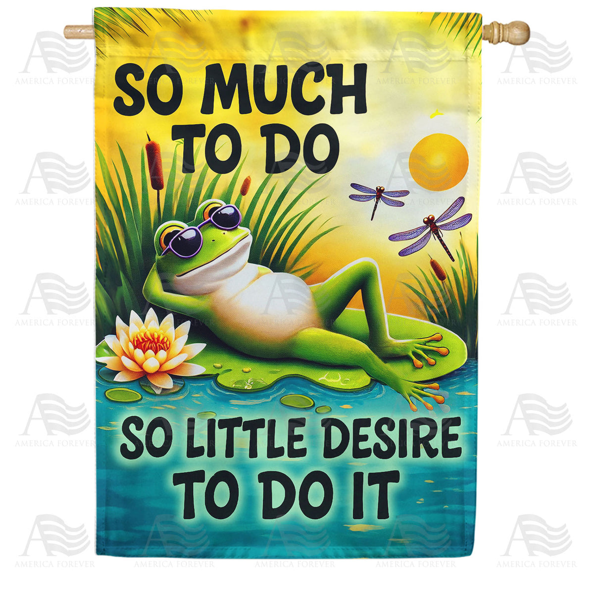 America Forever So Much To Do Frog House Flag