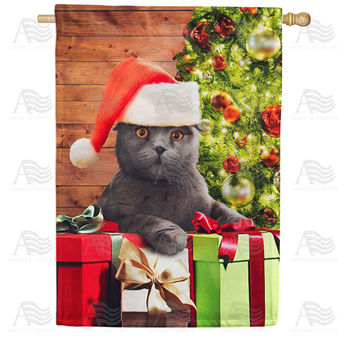 America Forever Chester, The Cat Has Gifts! House Flag
