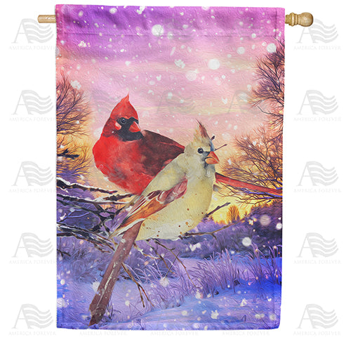 America Forever Winter Cardinals Painting House Flag