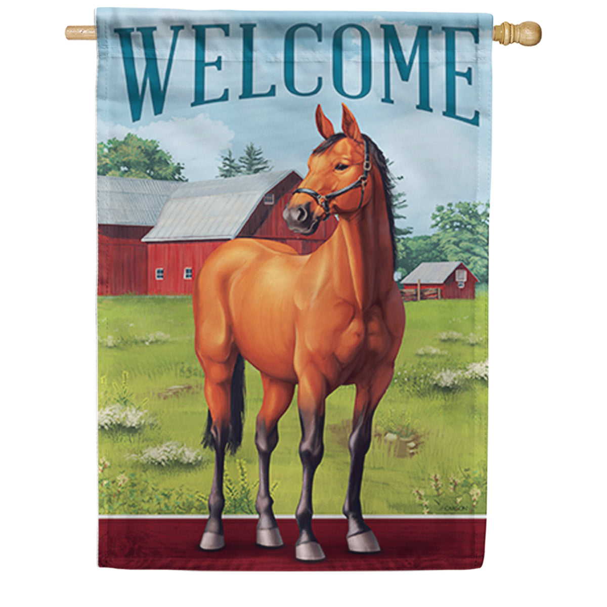 Carson Beautiful Bay House Flag