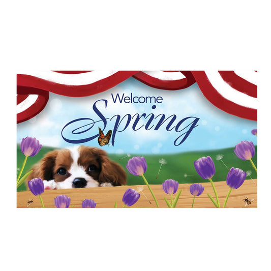 America Forever Spring Charles Spaniel Doormat