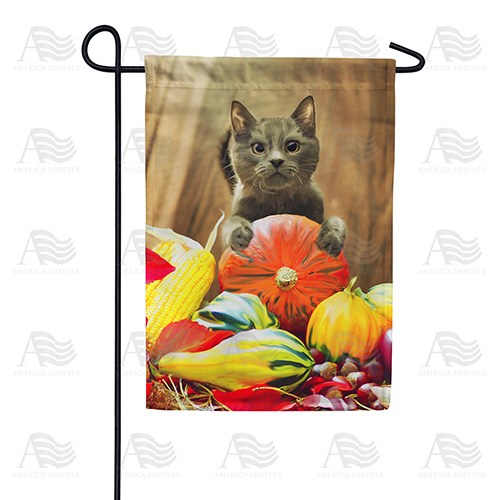 America Forever Cat With Pumpkin Garden Flag