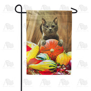 America Forever Cat With Pumpkin Garden Flag