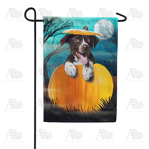 America Forever Pup In Pumpkin Garden Flag