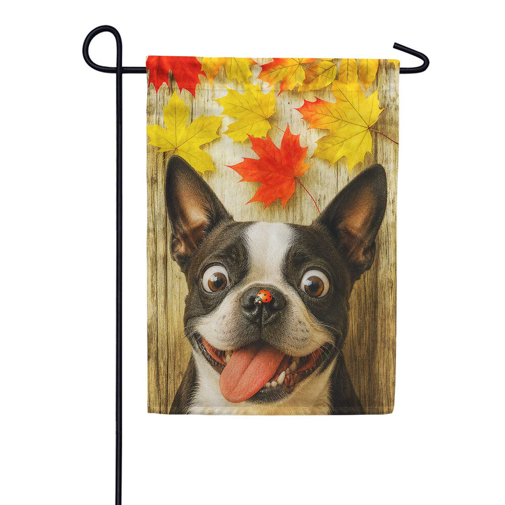 America Forever Fall Boston Terrier And Ladybug Garden Flag