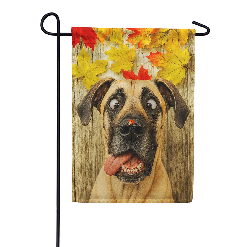 America Forever Fall Great Dane with Ladybug Garden Flag