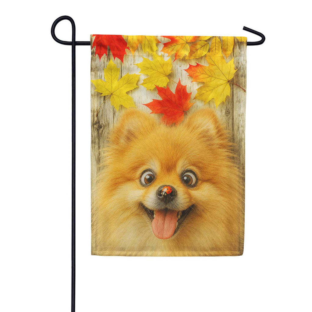 America Forever Fall Pomeranian with Ladybug Garden Flag