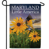 America Forever Little America Garden Flag