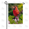 America Forever Cardinal In Sunshine Garden Flag
