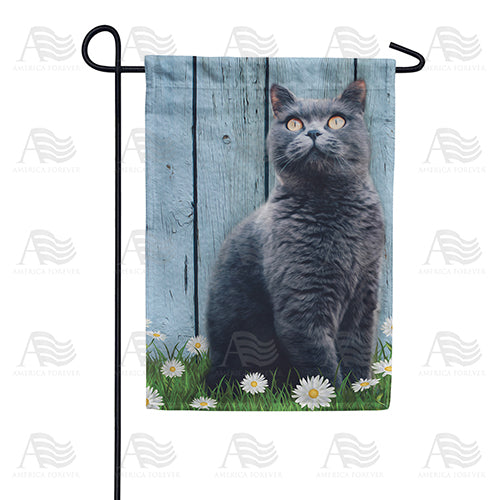 America Forever Gray Cat Garden Flag