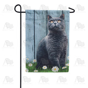 America Forever Gray Cat Garden Flag