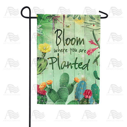 America Forever Cactus Bloom Where You Are Planted Garden Flag