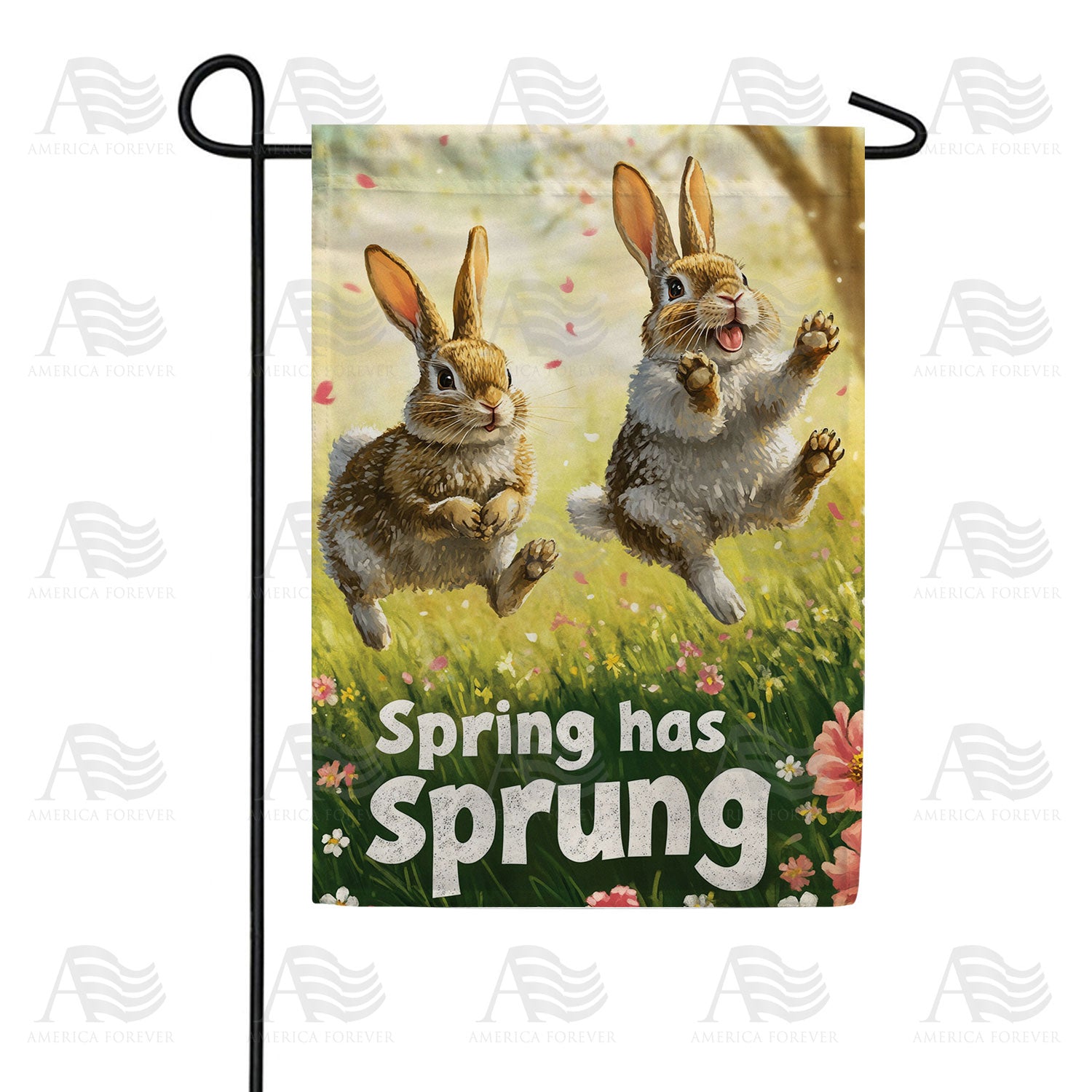 Spring Has Sprung Double Sided Garden Flag 12.5 x 18 in