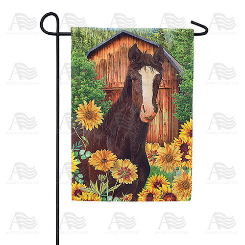 America Forever Horse loves Sunflowers Garden Flag