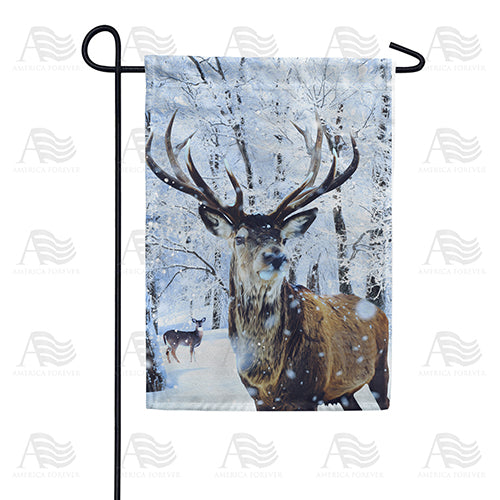 America Forever Ten Pointer Garden Flag