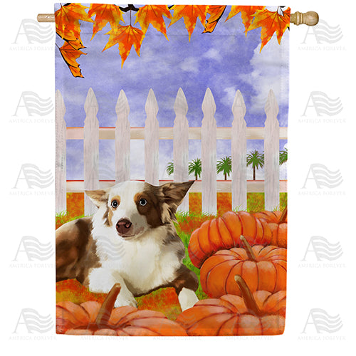 America Forever Dog With Pumpkins House Flag
