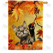America Forever Curious Fall Kitten House Flag