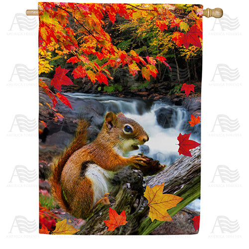America Forever Squirrel At Waterfall House Flag