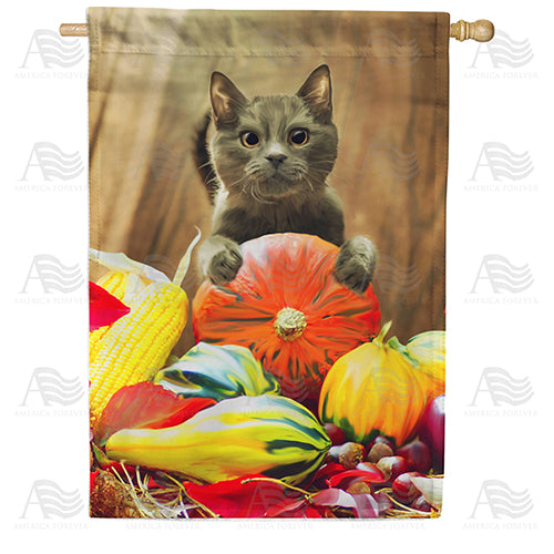 America Forever Cat With Pumpkin House Flag