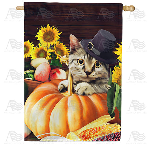 America Forever Pilgrim Cat House Flag
