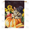 America Forever Pilgrim Cat House Flag