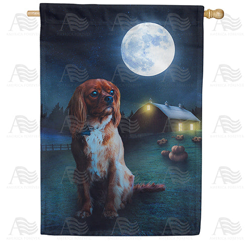 America Forever The Light Of The Harvest Moon House Flag