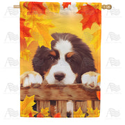 America Forever Lonely Puppy House Flag