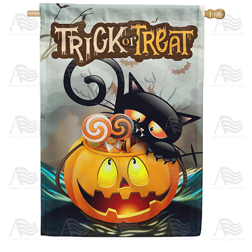 America Forever Cat In Pumpkin Bucket House Flag