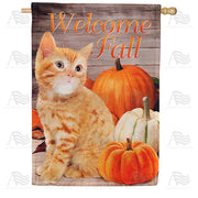 America Forever Fall Orange Tabby House Flag