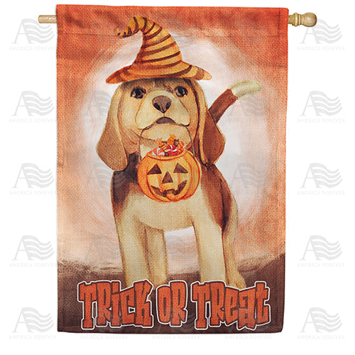 America Forever Sniffing Out Treats House Flag