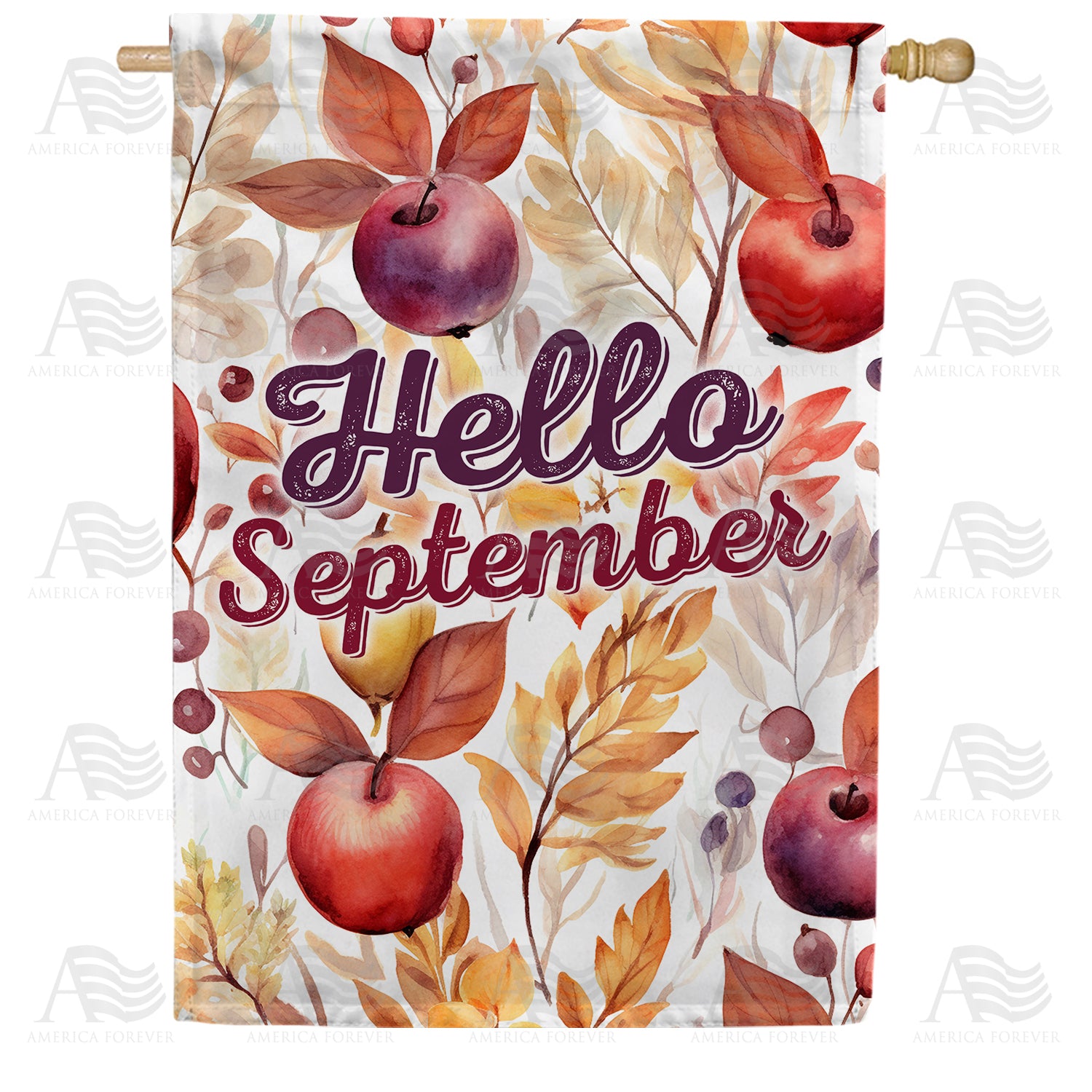 America Forever Hello September Colors House Flag