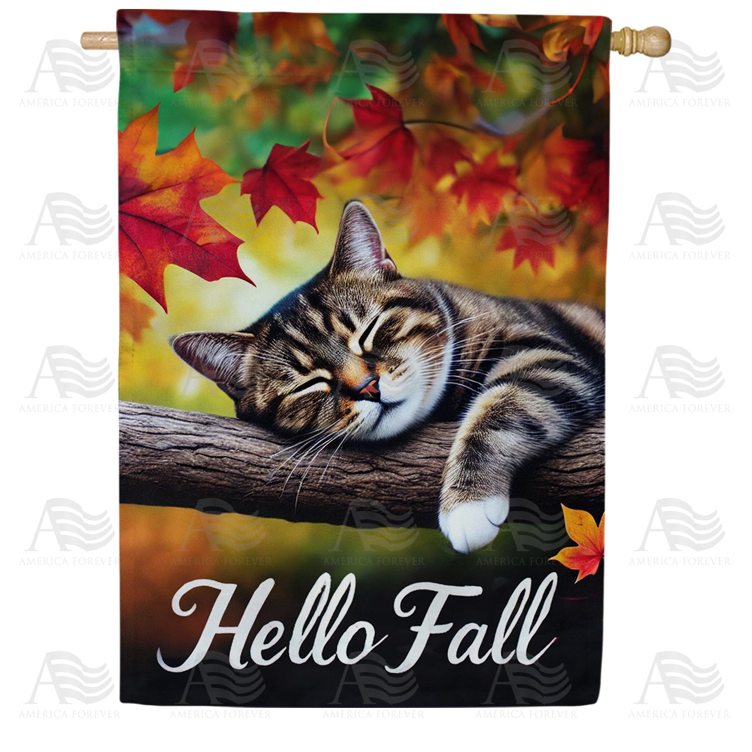 America Forever Hello Fall Kitty House Flag