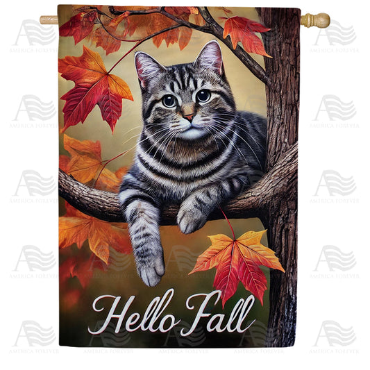 America Forever Hello Fall Tabby Cat House Flag