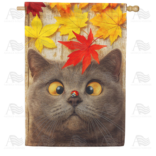 Fall Cat with Ladybug Double Sided House Flag