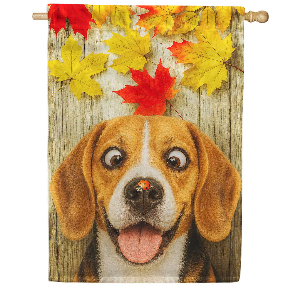 America Forever Fall Beagle And Ladybug House Flag