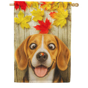 America Forever Fall Beagle And Ladybug House Flag