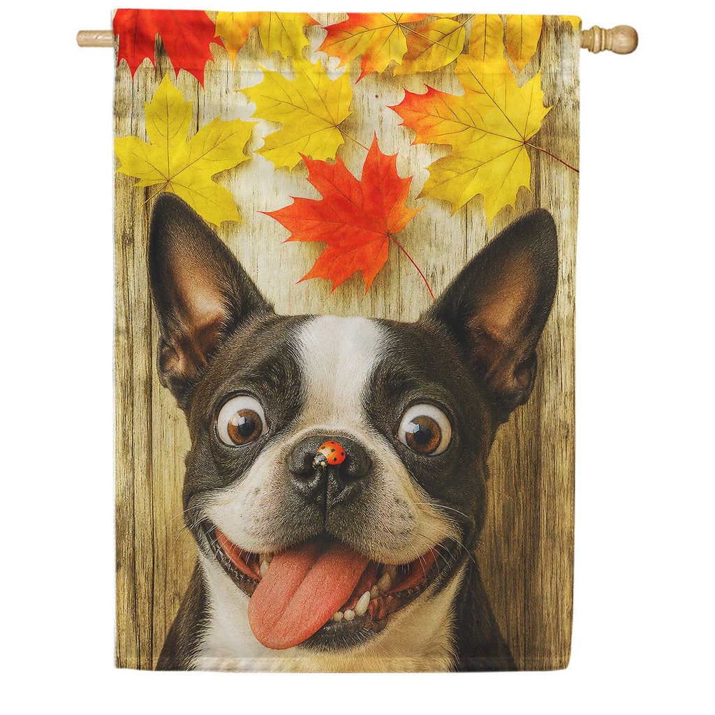 America Forever Fall Boston Terrier And Ladybug House Flag