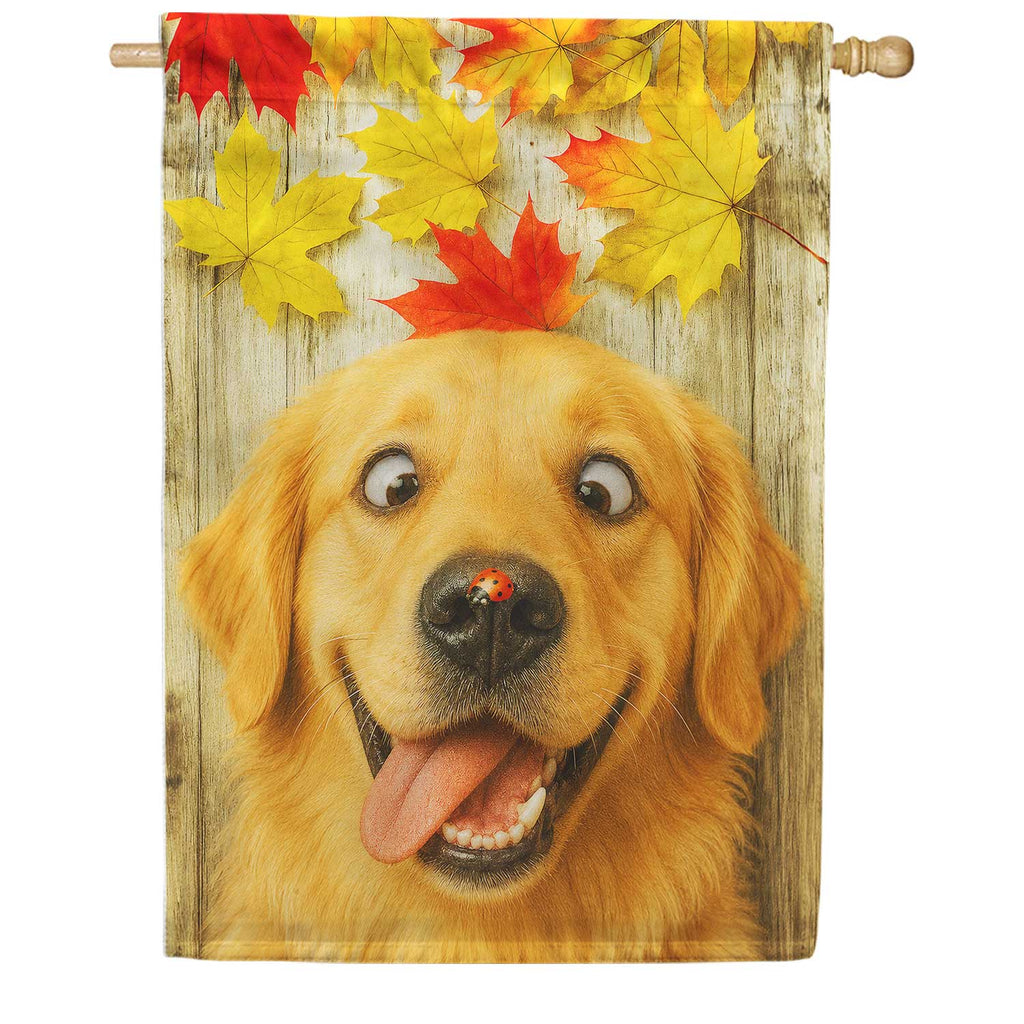 America Forever Fall Golden Retriever with Ladybug House Flag