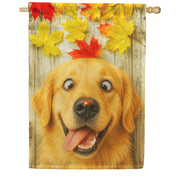 America Forever Fall Golden Retriever with Ladybug House Flag