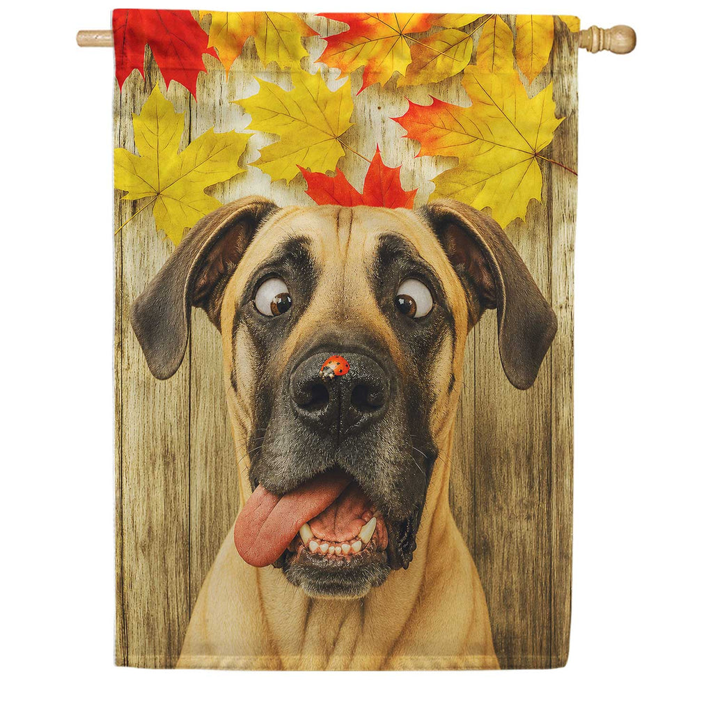 America Forever Fall Great Dane with Ladybug House Flag