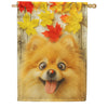 America Forever Fall Pomeranian with Ladybug House Flag