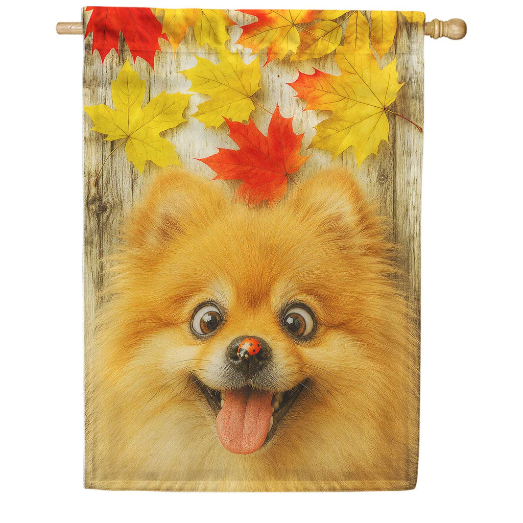 America Forever Fall Pomeranian with Ladybug House Flag