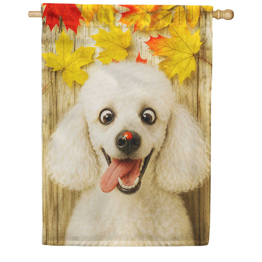 America Forever Fall Poodle with Ladybug House Flag