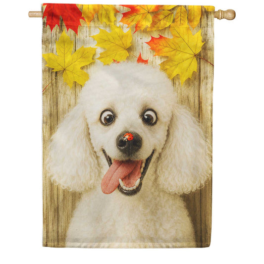 America Forever Fall Poodle with Ladybug House Flag