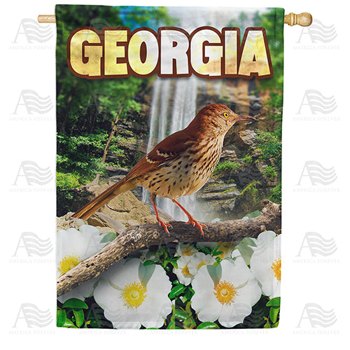 America Forever Georgia Brown Thrasher House Flag